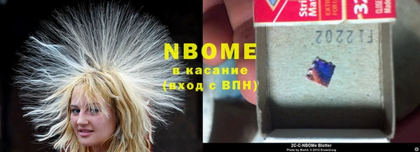 стафф Бородино