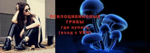 стафф Бородино