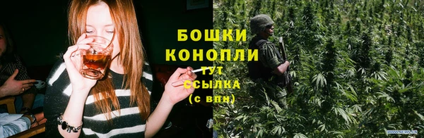 гидропоника Бронницы