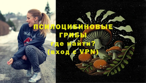 гидропоника Бронницы