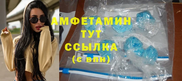 спиды Шенкурск