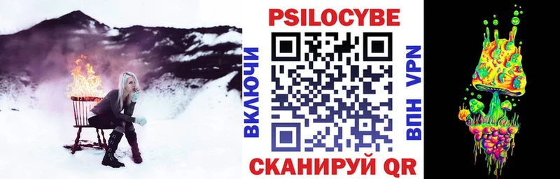где найти наркотики Верхняя Пышма Галлюциногенные грибы Psilocybine cubensis